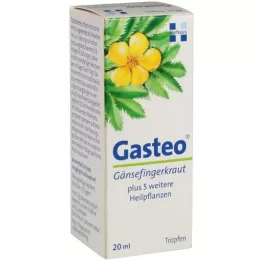 GASTEO Gotas orais, 20 ml