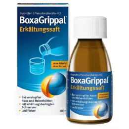 BOXAGRIPPAL Xarope frio, 100 ml