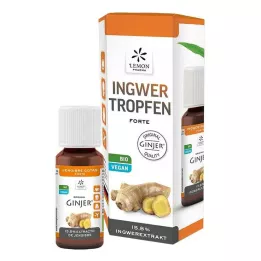 INGWER GINJER gotas fortes, 20 ml