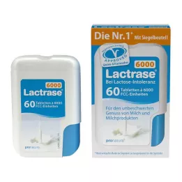 LACTRASE 6.000 FCC Comprimidos em dispensador de clique, 60 unidades