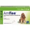 AMFLEE 134 mg solução para unção punctiforme para cães de tamanho médio 10-20kg, 3 peças