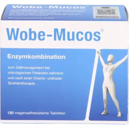 WOBE-MUCOS Comprimidos com revestimento entérico, 120 unidades