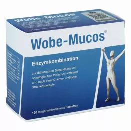 WOBE-MUCOS Comprimidos com revestimento entérico, 120 unidades