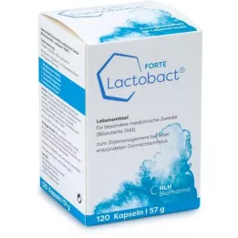 LACTOBACT Forte enteric coated capsules, 120 Capsules
