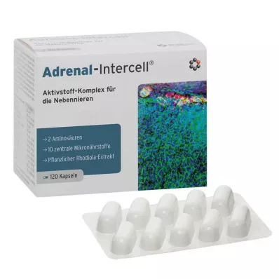 Cápsulas Adrenal-Intercell, 120 peças
