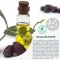 Creme Hidratante Hidrolipídico Free Oil, 50 ml