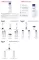 Instructions for use for Eucerin Loção Original UreaRepair 3%, 250 ml - 2