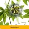 DYSTOLOGES Comprimidos, 100 unidades