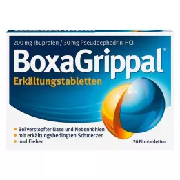BOXAGRIPPAL Comprimidos a frio 200 mg/30 mg FTA, 20 unidades