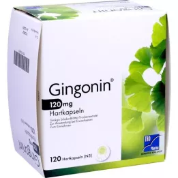 GINGONIN Cápsulas duras de 120 mg, 120 unidades