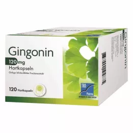 GINGONIN Cápsulas duras de 120 mg, 120 unidades