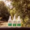 CARE PLUS Spray anti-insectos Deet 50%, 200 ml
