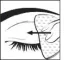 Instructions for use for POSIFORLID® spray para os olhos, 15 ml - 4
