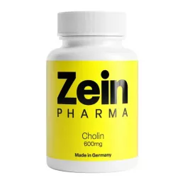 CHOLIN 600 mg puro de bitartarato cápsulas vegetais, 60 unid