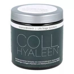 COLLHYALEEN Pó para solução oral, 180 g
