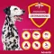 ADVANTIX Solução para aplicação pontual em cães de 25-40 kg, 4X4,0 ml