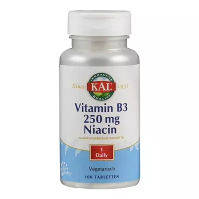 VITAMIN B3 NIACIN 250 mg comprimidos, 100 unid