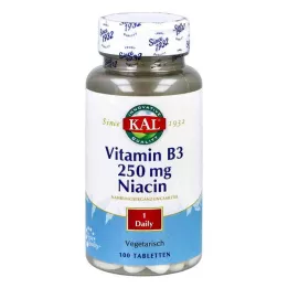 VITAMIN B3 NIACIN 250 mg comprimidos, 100 unid