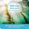 OMEGA3-Loges cápsulas vegetais, 120 Cápsulas