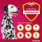 ADVANTIX Solução para aplicação pontual em cães de 40-60 kg, 4X6,0 ml
