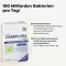 Flora Intestinal Active Plus 100 bilhões de bactérias + 7 vitaminas, 80 peças