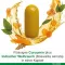 CURCUMIN-LOGES mais cápsulas de Boswellia, 60 Cápsulas