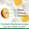 CURCUMIN-LOGES mais cápsulas de Boswellia, 60 Cápsulas