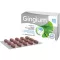 GINGIUM Comprimidos revestidos por película de 80 mg, 120 unidades