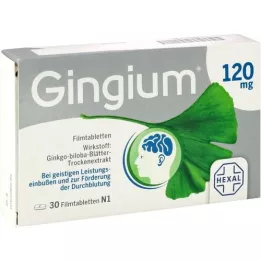 GINGIUM Comprimidos revestidos por película de 120 mg, 30 unidades