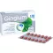 GINGIUM Comprimidos revestidos por película de 120 mg, 60 unidades