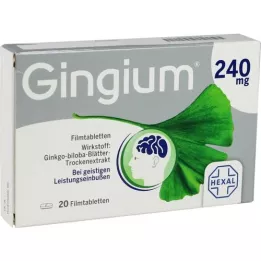 GINGIUM 240 mg comprimidos revestidos por película, 20 unidades