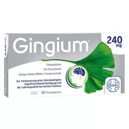 GINGIUM 240 mg comprimidos revestidos por película, 20 unidades