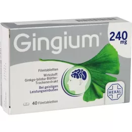 GINGIUM 240 mg comprimidos revestidos por película, 40 unidades