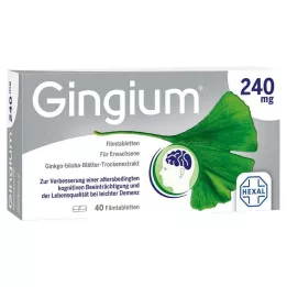 GINGIUM 240 mg comprimidos revestidos por película, 40 unidades