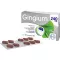 GINGIUM 240 mg comprimidos revestidos por película, 60 unidades