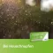Loratadina axicur® comprimidos de 10 mg, 7 unidades