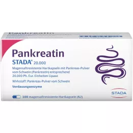 PANKREATIN STADA 20.000 cápsulas duras de sumo gástrico, 100 unid