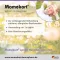 MOMEKORT 50 μg/spray spray nasal suspensão 140 adulto, 18 g