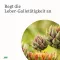 Gallexier Herbal Bitters Elixir Salus Líquido, 250 ml