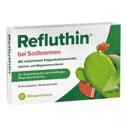 REFLUTHIN para azia comprimidos mastigáveis menta, 16 unid