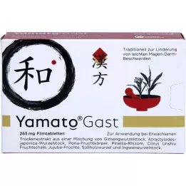 YAMATOGAST Comprimidos revestidos por película de 265 mg, 27 unidades