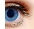 Instructions for use for HYLO NIGHT® pomada ocular, 5 g - 7