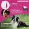 FRONTLINE Solução Tri-Act para ser gotejada em cães de 2-5 kg, 6 unidades