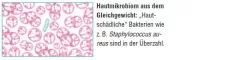 Instructions for use for AKTIVADERM ND Probióticos ativos para tratamento de pele com neurodermatite, 125 g - 2