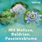 vivinox® comprimidos calmantes para nervos, para inquietação e dificuldade em adormecer, 100 peças