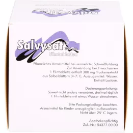 SALVYSAT Comprimidos revestidos por película de 300 mg, 90 unidades