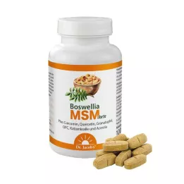 BOSWELLIA MSM forte Dr. Jacobs Tablets, 90 unid
