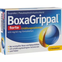 BOXAGRIPPAL forte cold stick. 400 mg/60 mg FTA, 12 unid
