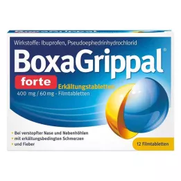 BOXAGRIPPAL forte cold stick. 400 mg/60 mg FTA, 12 unid