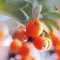 Loção corporal Weleda Sea Buckthorn Rich Care (200 ml)